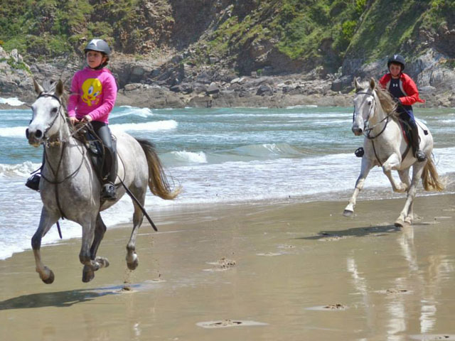 rutas a caballo de dos horas -  Playa de San Pedro